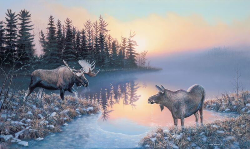 Cold Start - Moose by Jim Kasper