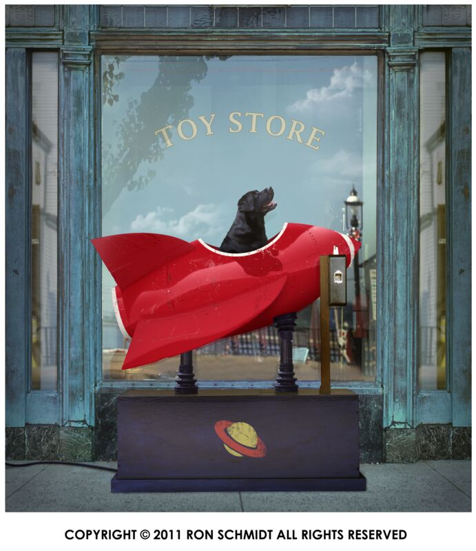 Comet by Ron Schmidt