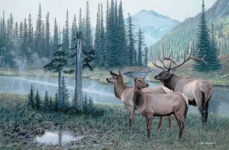 Coming Together—Elk by Jim Kasper