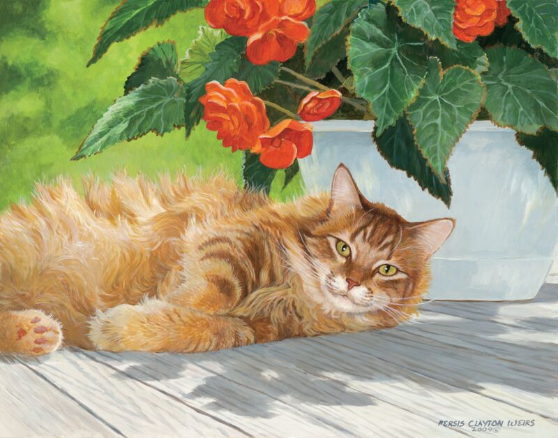 Crimson Rose—Cat by Persis Clayton Weirs