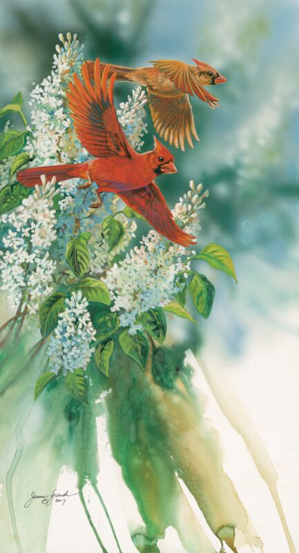 Crimson Spring—Cardinals by Janene Grende