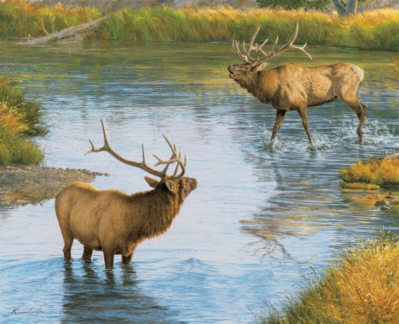Crossing Boundaries - Elk by Lee Kromschroeder