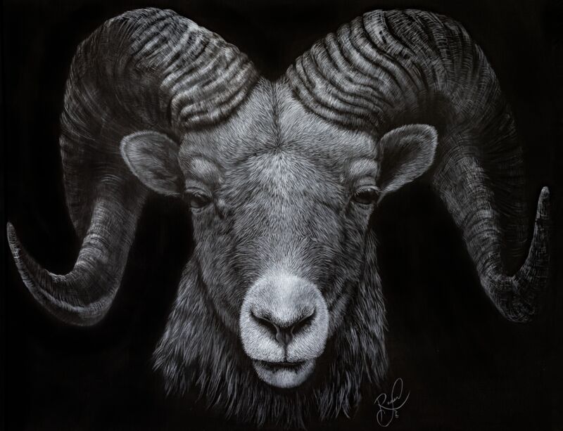 Dominance by Ashley Rader