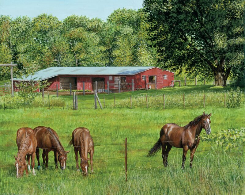 Dakota Ranch—Horses by Rollie Brandt