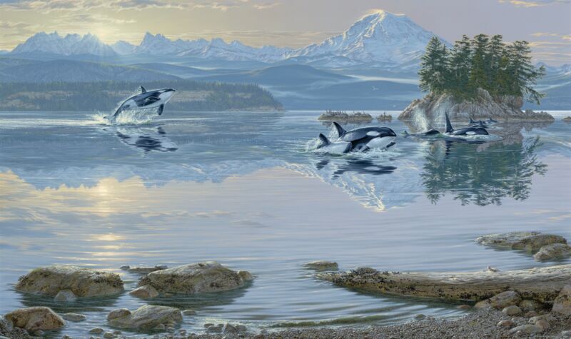 Dawn's Call—Orca by Lee Kromschroeder