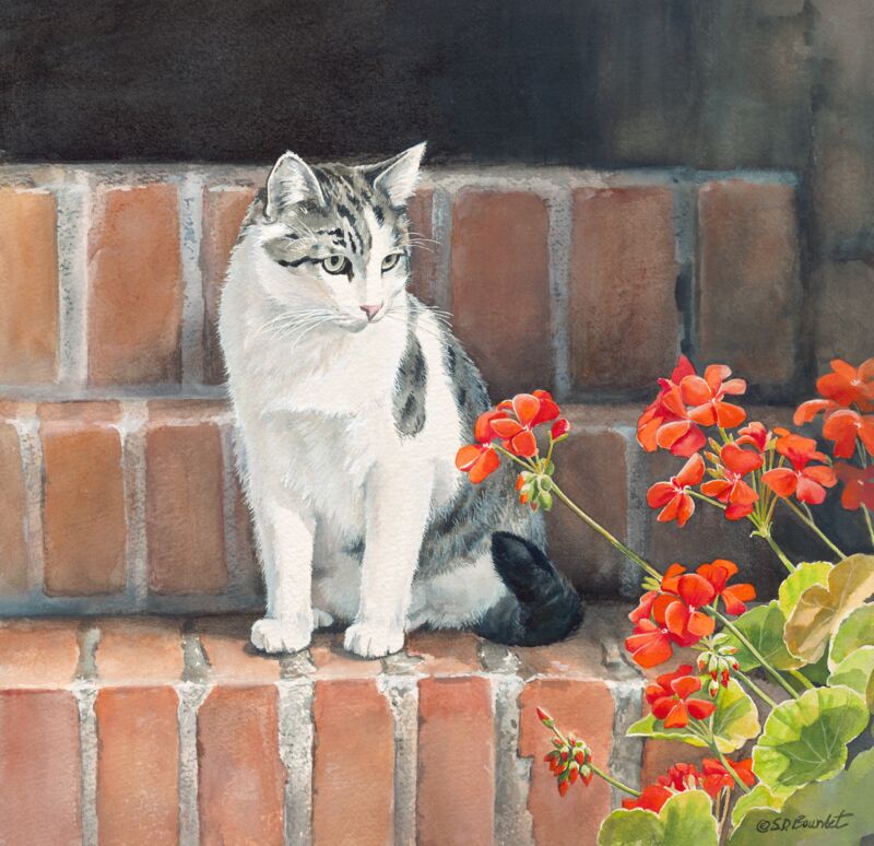 Daydreams—Cat by Susan Bourdet