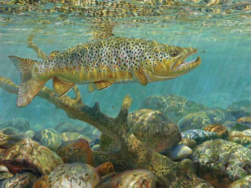 Delusion—Brown Trout by Mark A Susinno