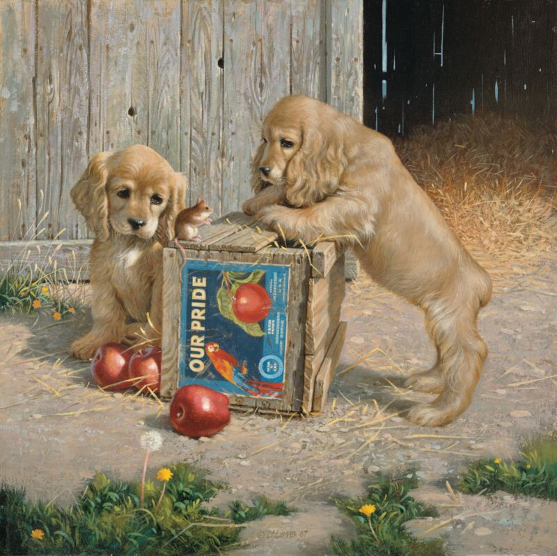 Double Take—Cocker Spaniel Puppies by Jim Lamb