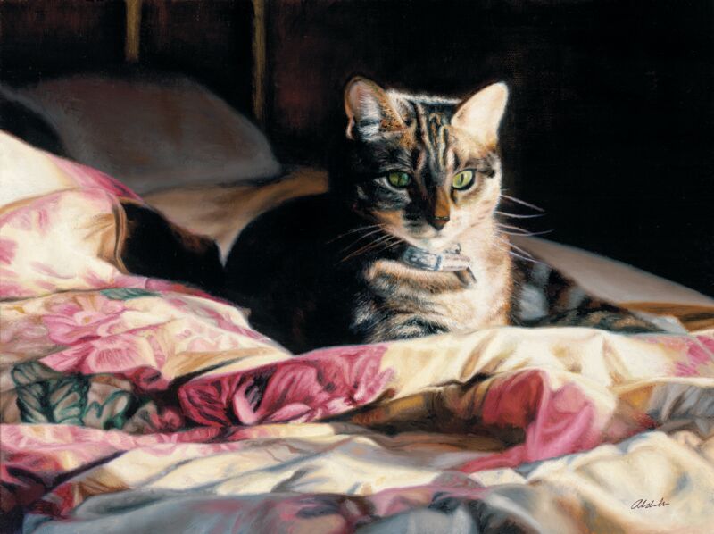 Dreaming of Africa—Cat by John Aldrich