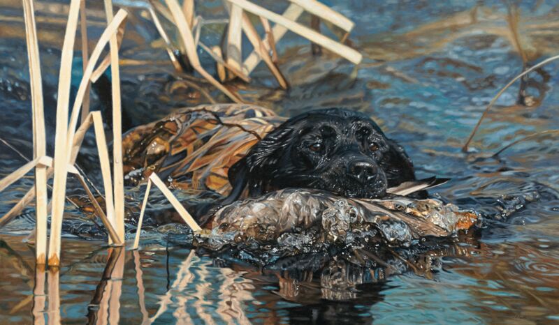 Dress For Success—Lab by John Aldrich