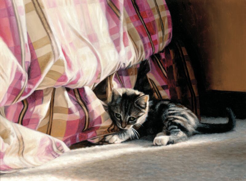 Dust Ruffle—Kitten by John Aldrich