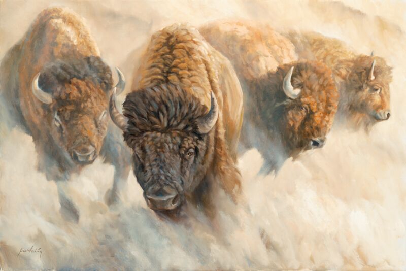 Dust of Time—Bison