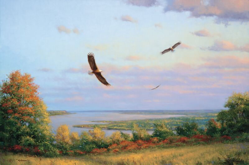 Eagles Over Lake Pepin by Marc Hanson