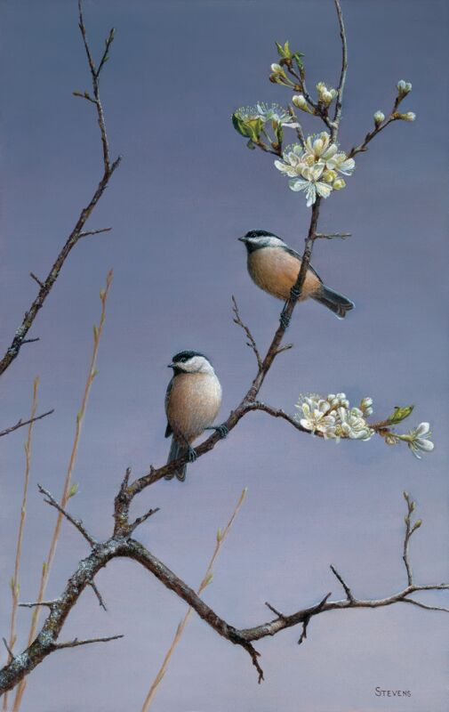 Easter Song—Chickadees by Gene Stevens