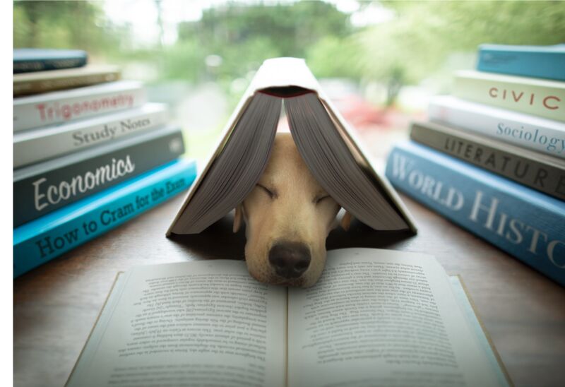 Edison by Ron Schmidt