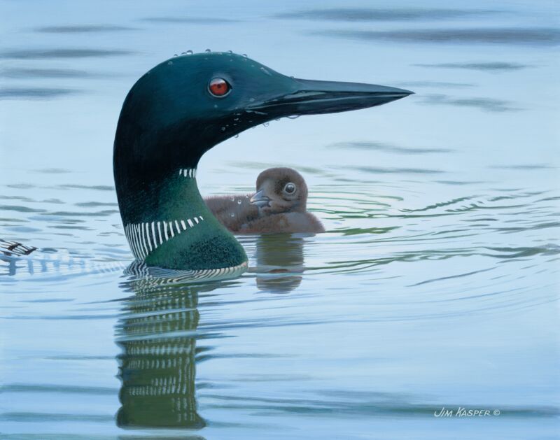 Emerged—Loons by Jim Kasper