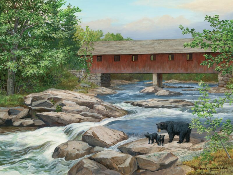 Explorers—Black Bears by Persis Clayton Weirs