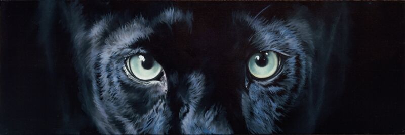 Eyes-Puma by Brett Longley