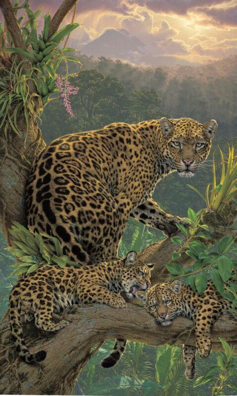 Family Tree-Jaguars by Lee Kromschroeder