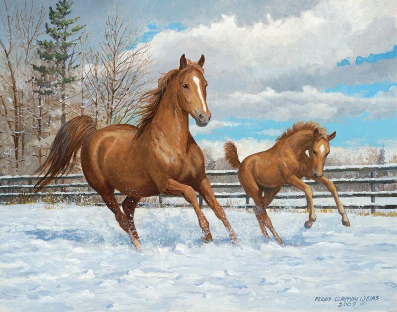 Feelin' Good—Horses by Persis Clayton Weirs