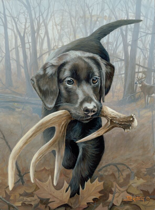Finders Keepers—Black Lab Pup by Larry Beckstein