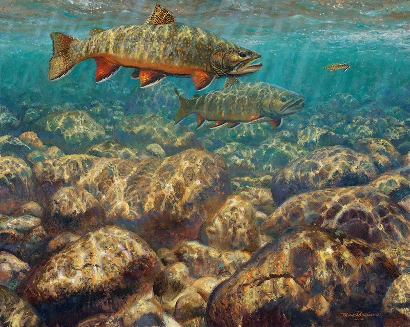 First To The Fly-Brook Trout