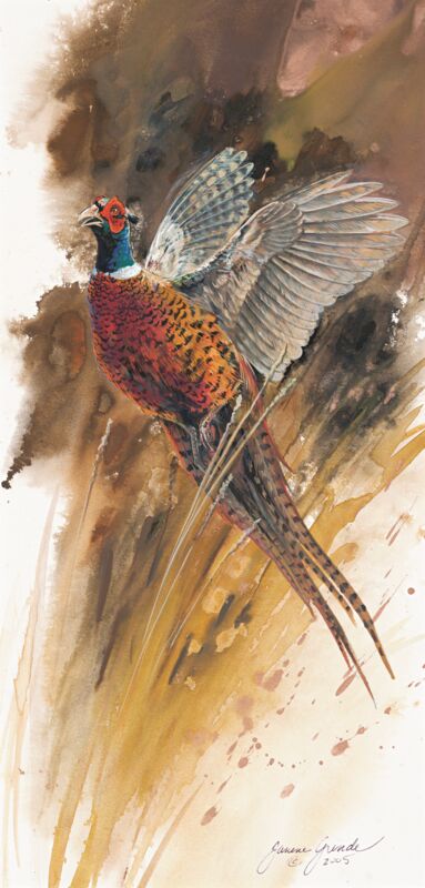Flushed—Pheasant by Janene Grende
