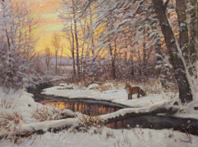 Fox at Evening—Bridger Creek by Lee Stroncek