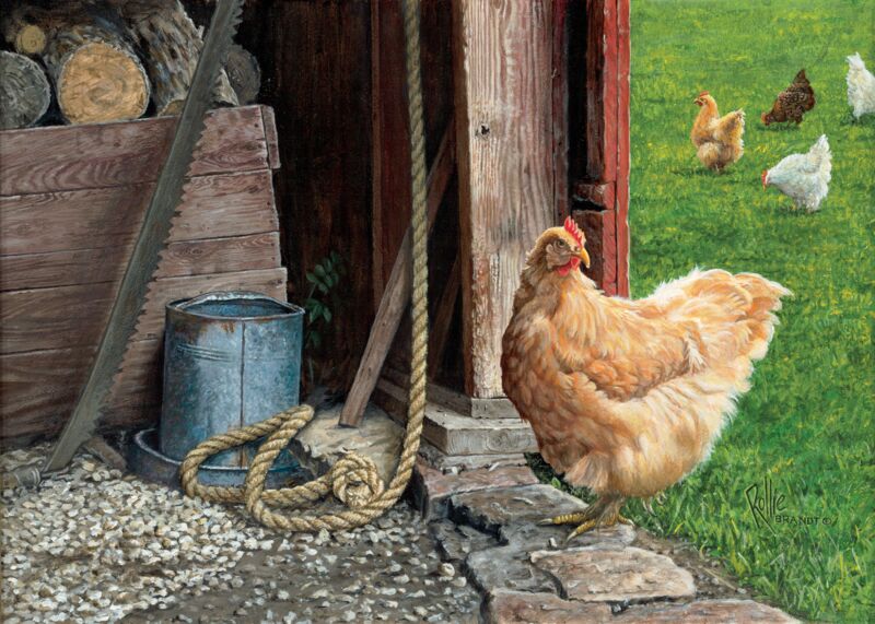 Free Range—Chickens by Rollie Brandt