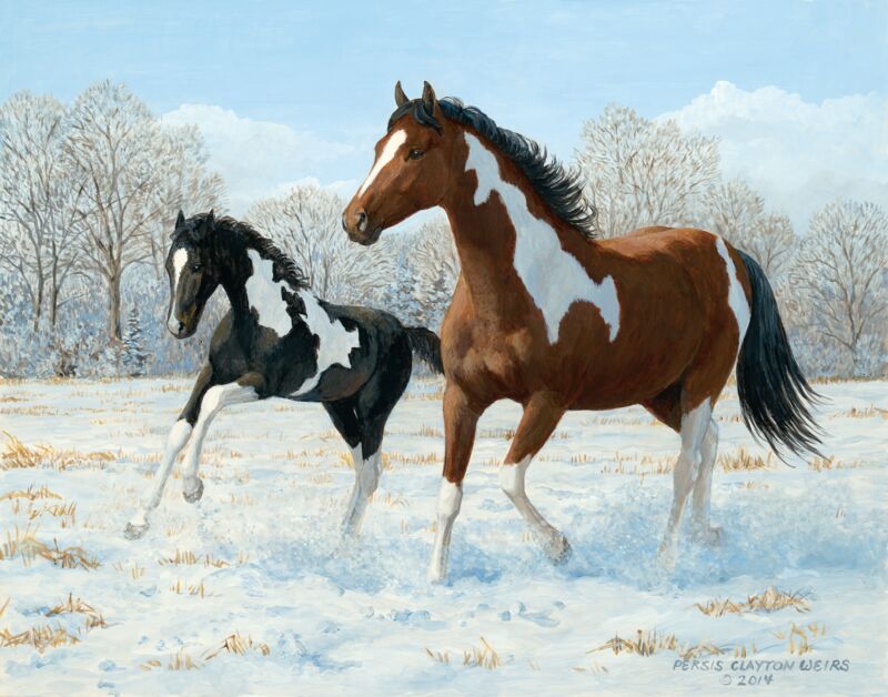 Frisky Paints—Horses by Persis Clayton Weirs