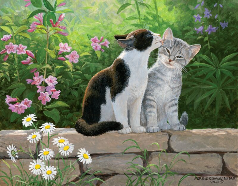 Garden Secret—Cats by Persis Clayton Weirs