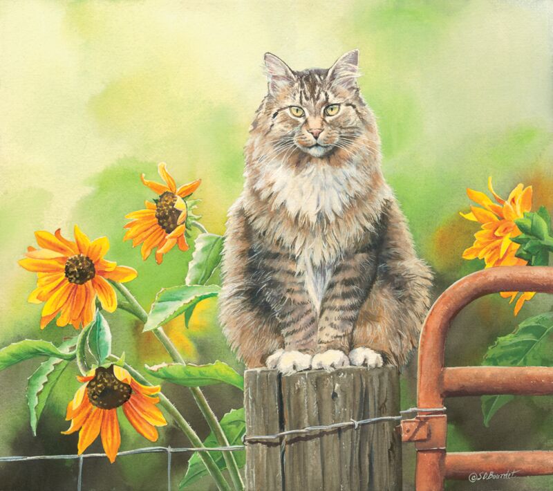 Gatekeeper—Tabby Cat by Susan Bourdet