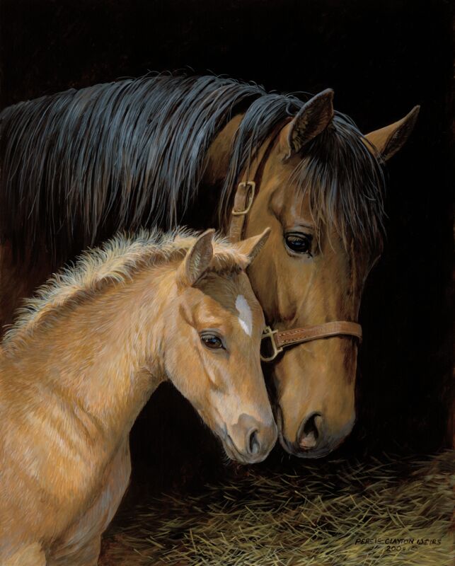 Gentle Touch—Horses by Persis Clayton Weirs
