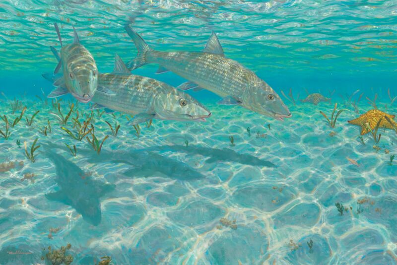 Ghosts—Bonefish by Mark A Susinno
