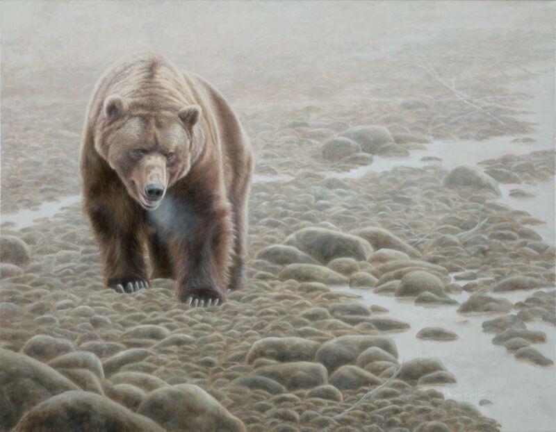 Grizzly by Brian Kuether