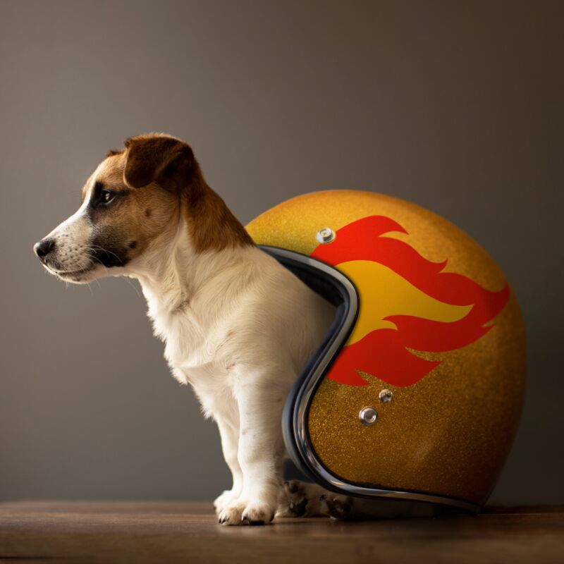 Helmet by Ron Schmidt