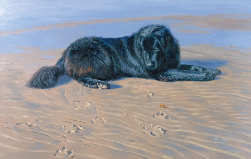 Here I Am-Newfoundland by Mia Lane