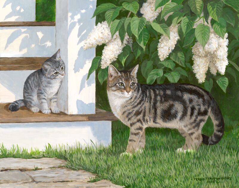 Hi Mom—Cat by Persis Clayton Weirs