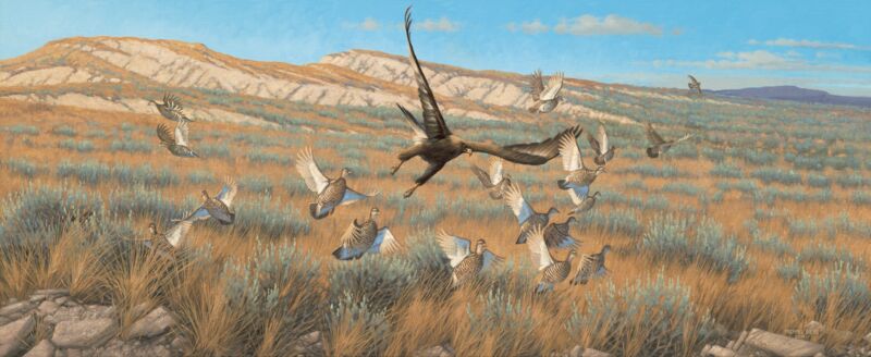 Hit or Miss Gold Eagle/Pr Chicken