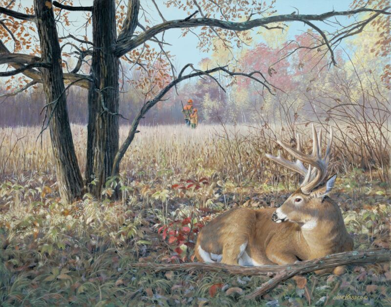 Hold Tight—Whitetail Deer