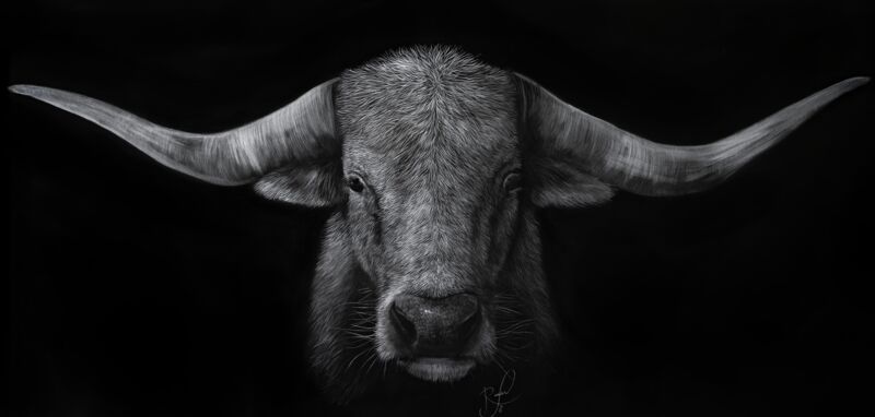 Intension by Ashley Rader