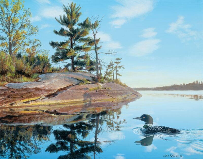 Into the Narrows—Loons by Jim Kasper