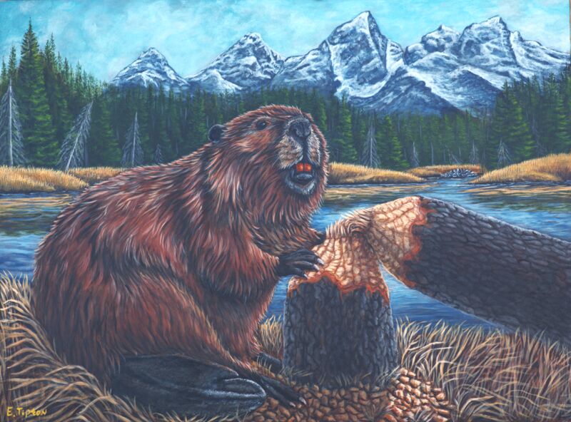 Job Well Done by Eddie Tipton