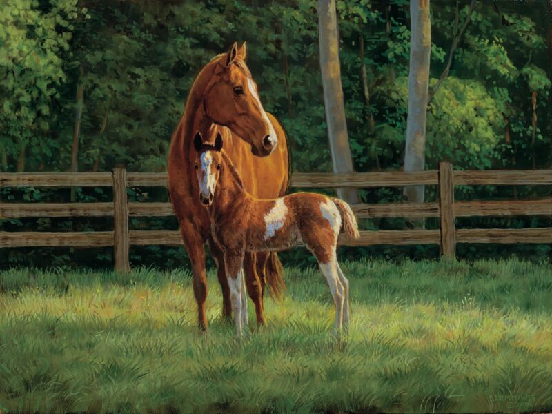 Josie—Horses by Chris Cummings