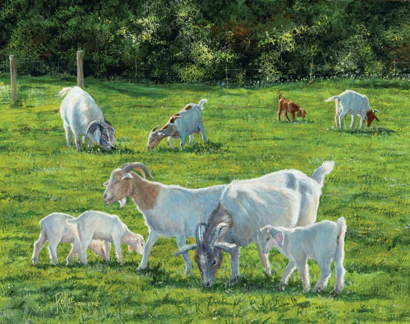 Kids Nowadays Goats by Rollie Brandt