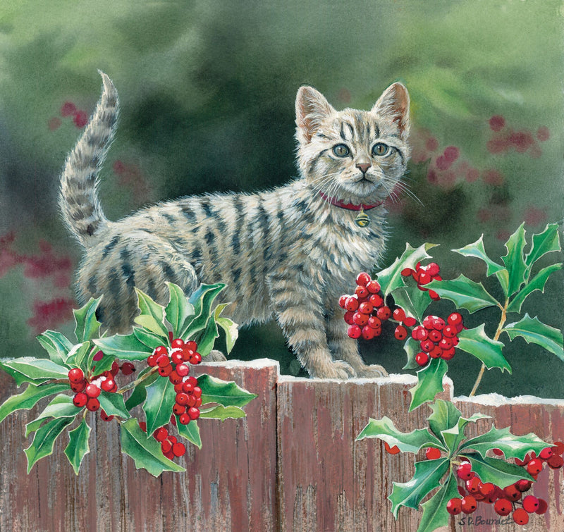 Kitten and Holly by Susan Bourdet