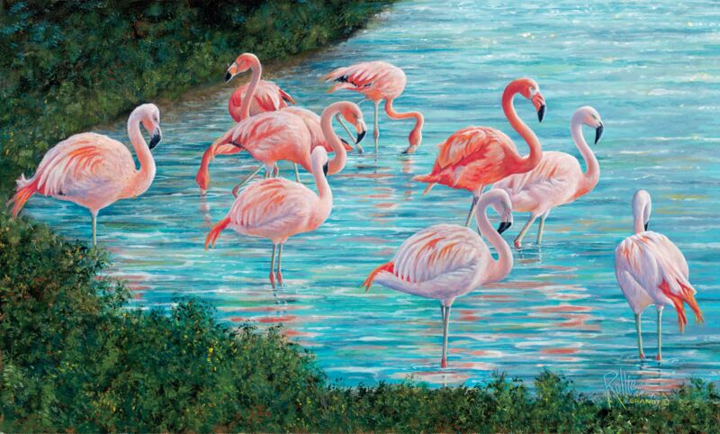 Knee Deep—Flamingos by Rollie Brandt