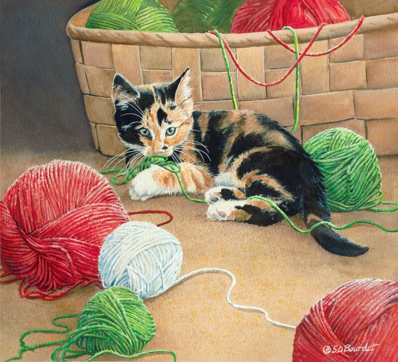 Knitting Project—Cat by Susan Bourdet