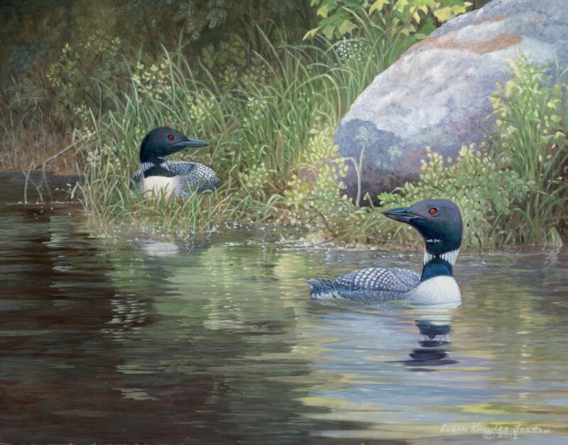 Lee Side of the Island—Loons by Susan Knowles-Jordan