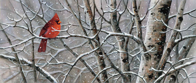 Left in the Cold - Cardinals